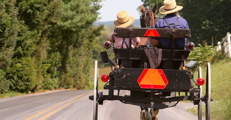 Los amish se desplazan con carros de caballos (iStock)