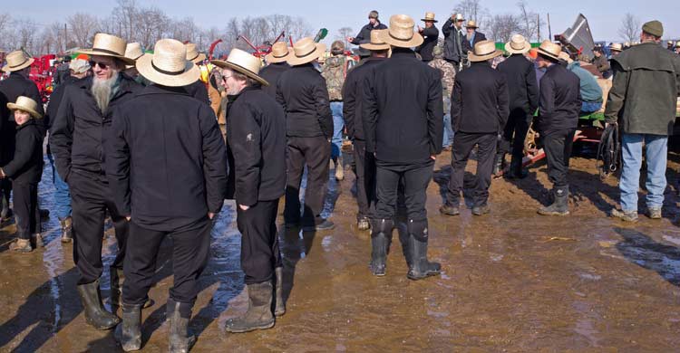 Los amish casados lucen barba (iStock)