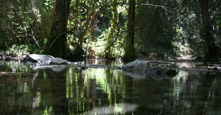 Nacimiento del río Mundo (wikimedia.org)