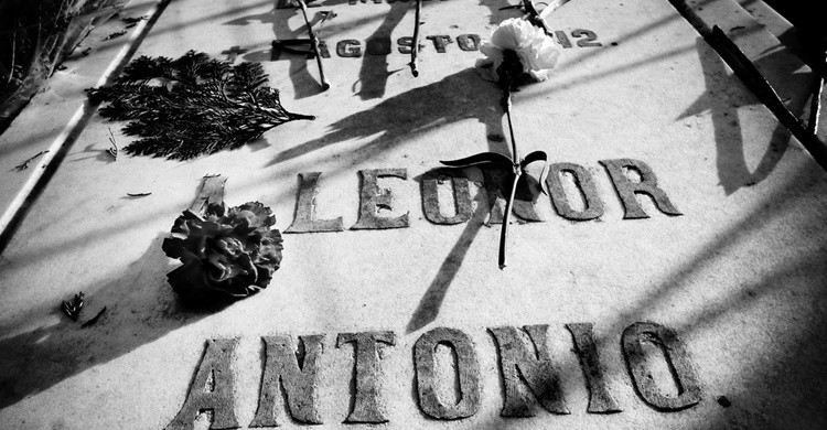 2. Llevarle una flor a Leonor.