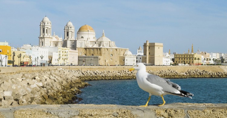 Hostel en Cádiz desde 11€ por persona/noche