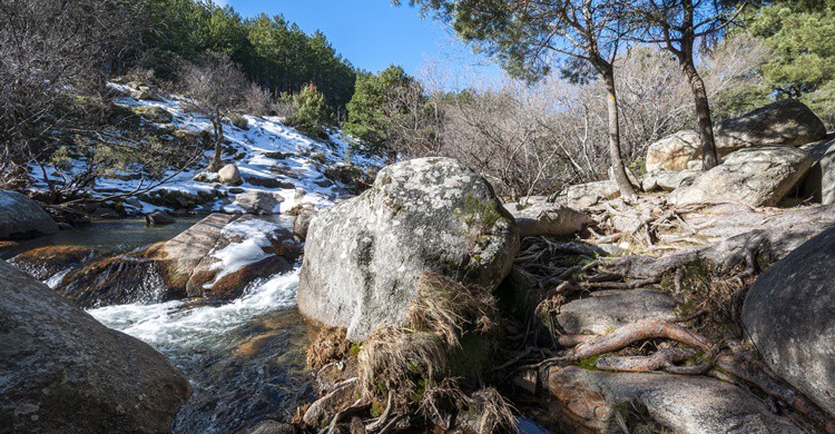Río Manzanares, en La Pedriza. Ihervas (iStock)