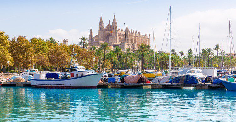 Puerto y catedral de Palma de Mallorca. LUNAMARINA (iStock)