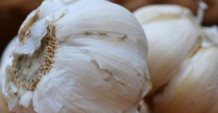 Ajos. Fabian Corrales (Flickr)