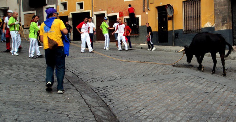Vaquilla en fiestas patronales. Ramón Peco (Flickr)