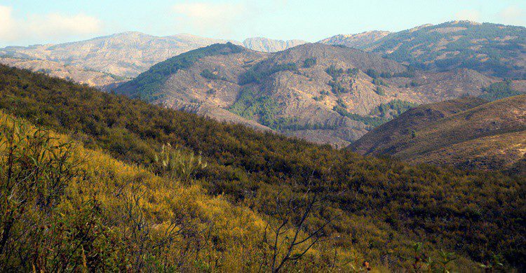 Vista parcial de la Sierra de Ayllón. Roman Santos (Flickr)