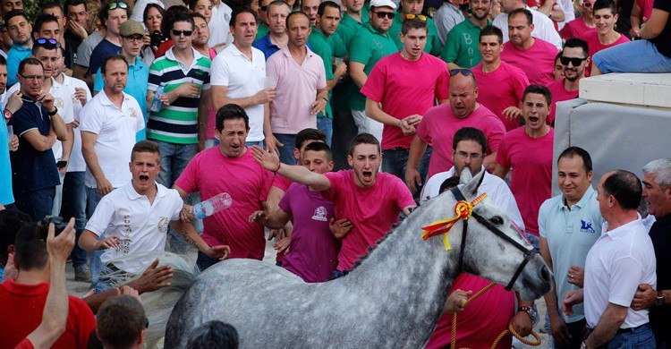 Peñas en las fiestas de Caravaca de la Cruz. Pedro Semitiel (Flickr)
