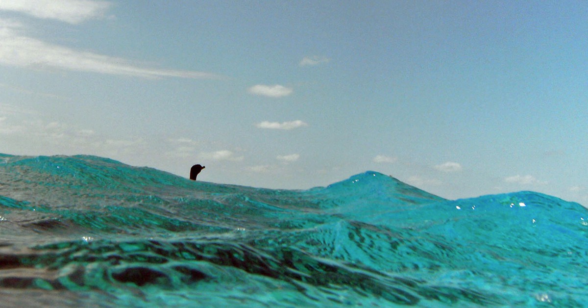 San Salvador Island, Bahamas. James St. John (Foter)