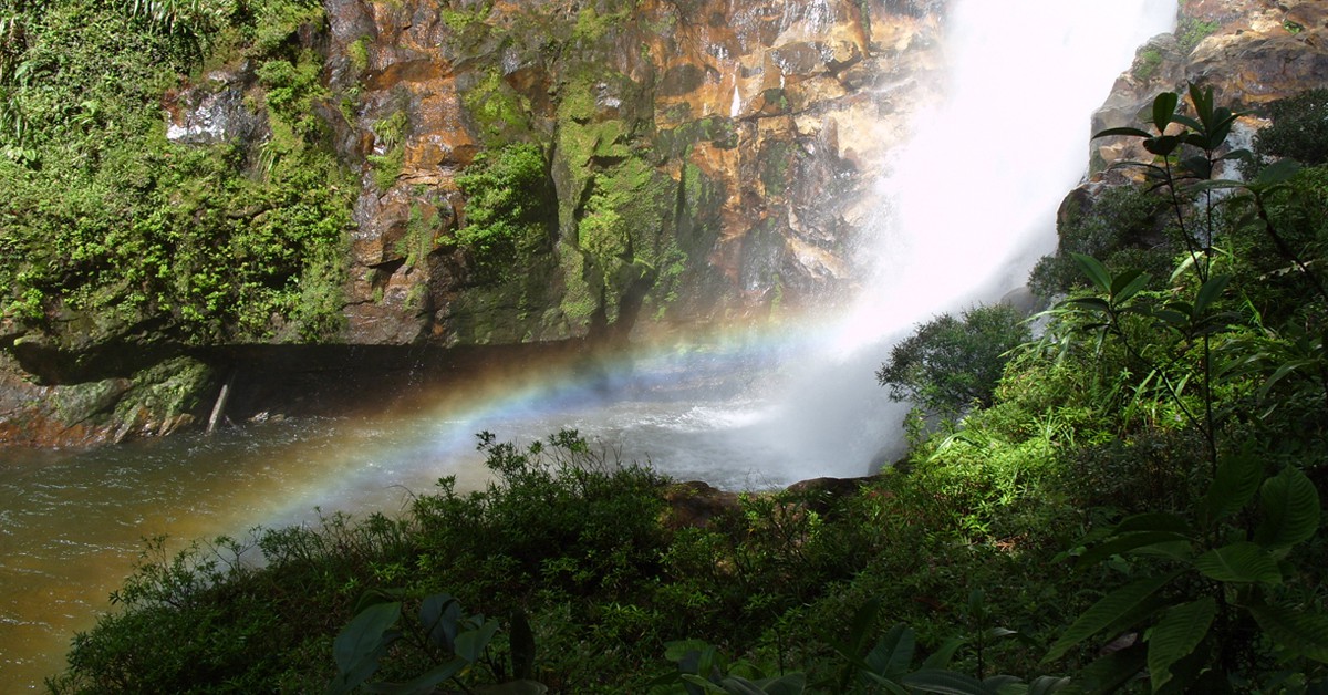 Bosque de maca, Ecuador. Slipszenko (Foter)