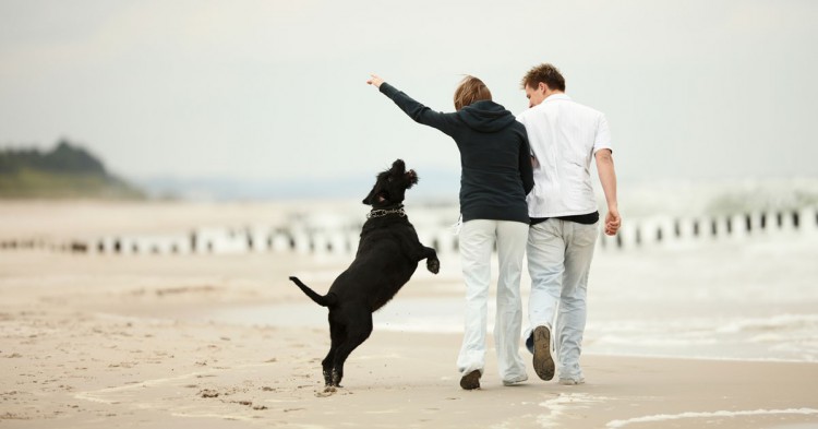 Caminar por la playa (Istock)