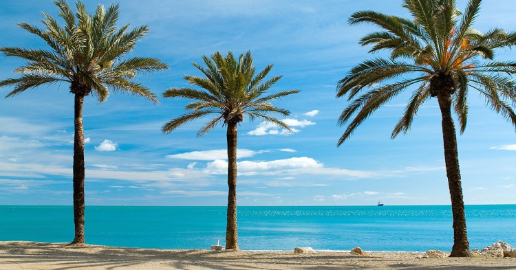 Escapada a la Costa del Sol desde 49€