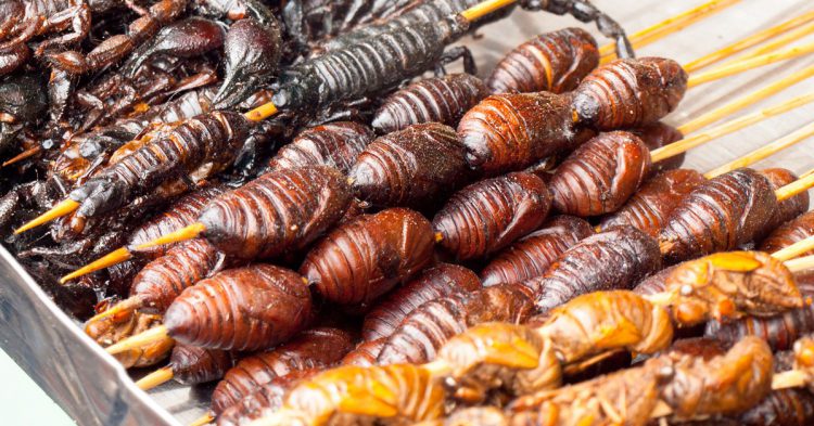 insectos fritos (Istock)