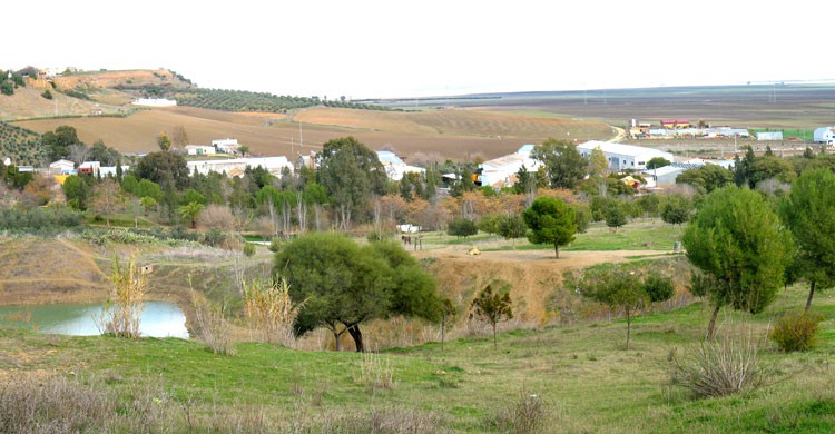 Vistas de la Comarca de La Janda desde la Muela ( Juan Jiménez Martínez-Flickr)