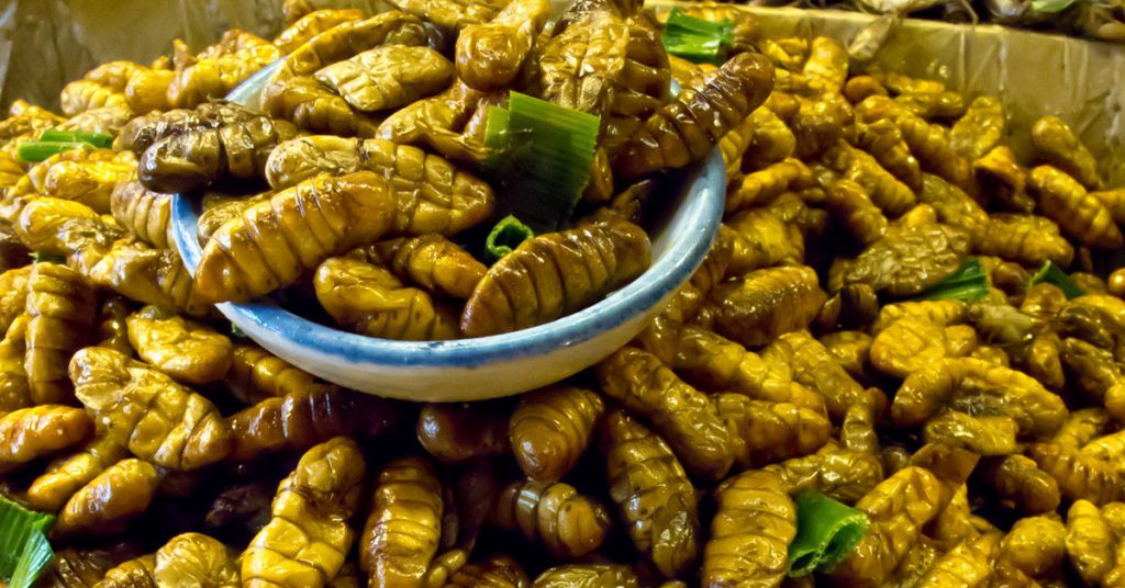 Sigue leyendo Los 7 mercados gastronómicos más repugnantes del mundo
