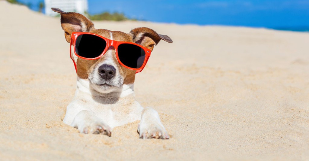 Sigue leyendo 10 actividades que puedes hacer en la playa si no te gusta tomar el sol