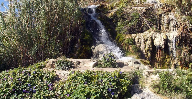 Los manantiales de Santa Lucía en Vejer (imagen propia)