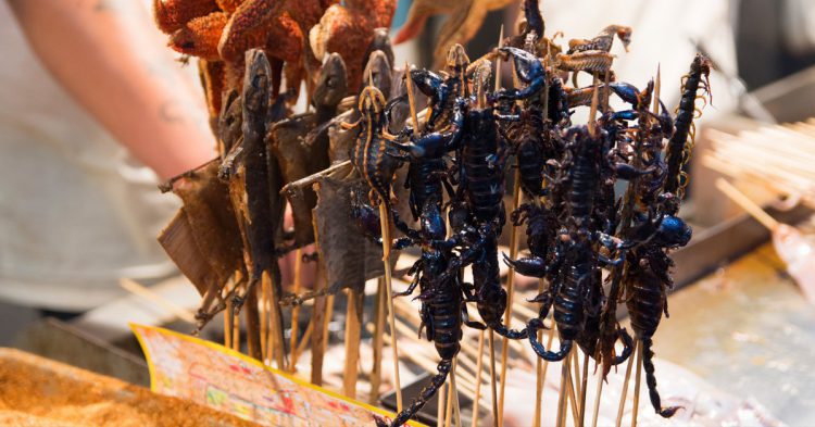 escorpiones fritos (Istock)