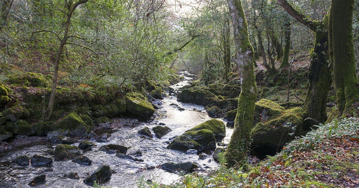 Glengarriff, Irlanda (iStock)