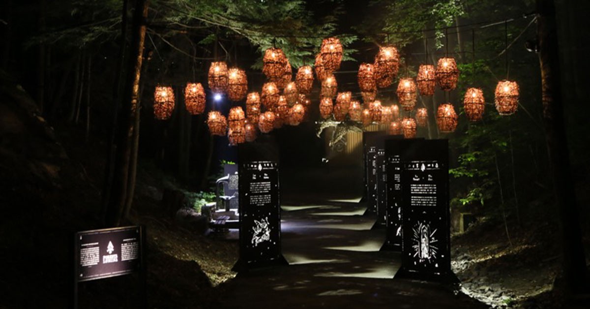 Foresta Lumina , Canadá (www.forestalumina.com)