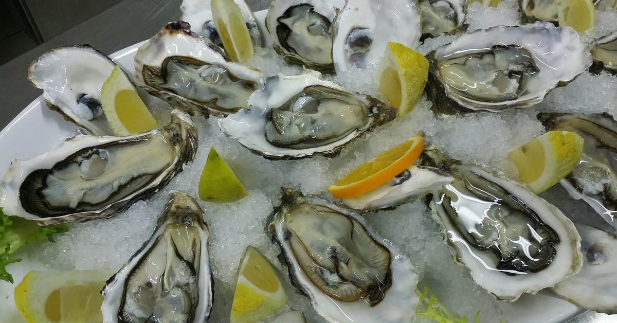 Comer ostras (Pixabay)