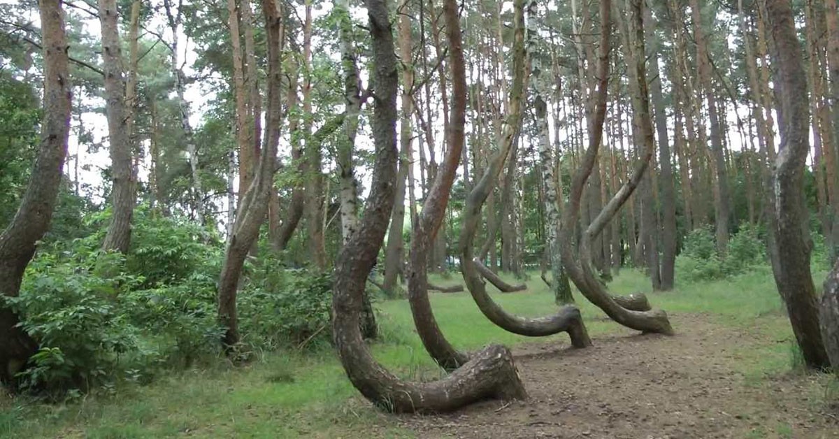 Nowe Czarnowo, Polonia (Youtube)