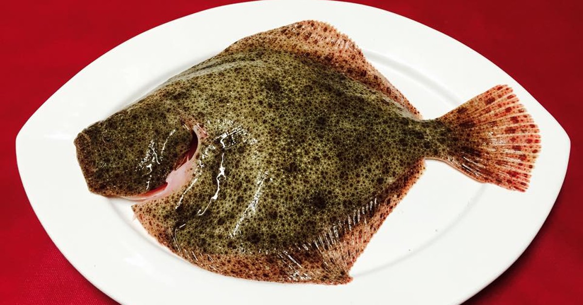 Rodaballo. A Lonxa (Facebook) 