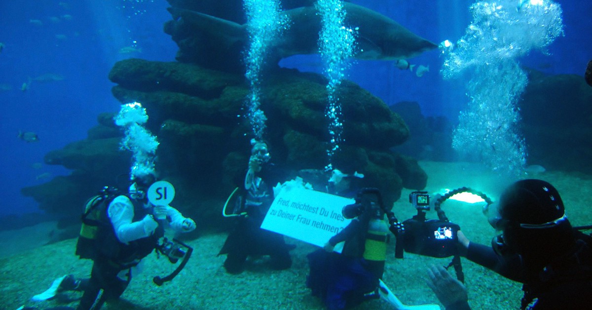El “sí quiero” entre tiburones. Palma Aquarium (Facebook)