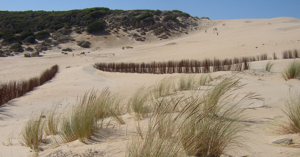 Dunas litorales de Bolonia. Banco de Imágenes Geológicas (Foter)