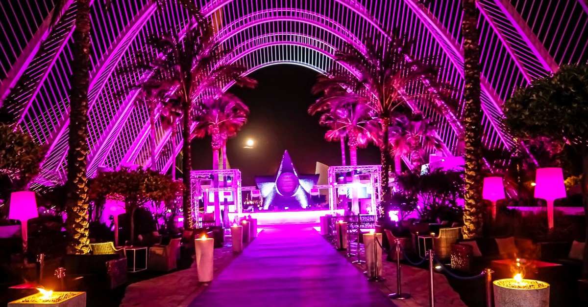 Bajo las palmeras. (L’Umbracle Terraza, Facebook)