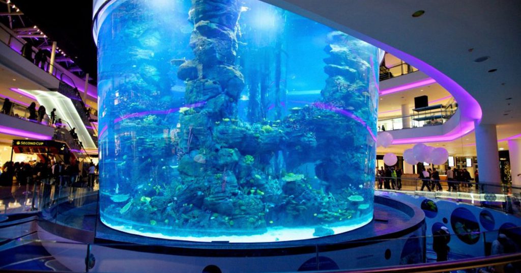 Acuario (Morocco Mall, Facebook)