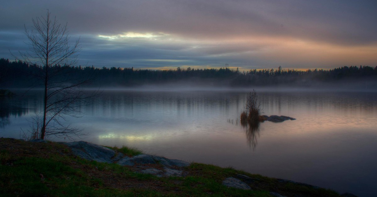 Nøkken. tomskarning (Foter)