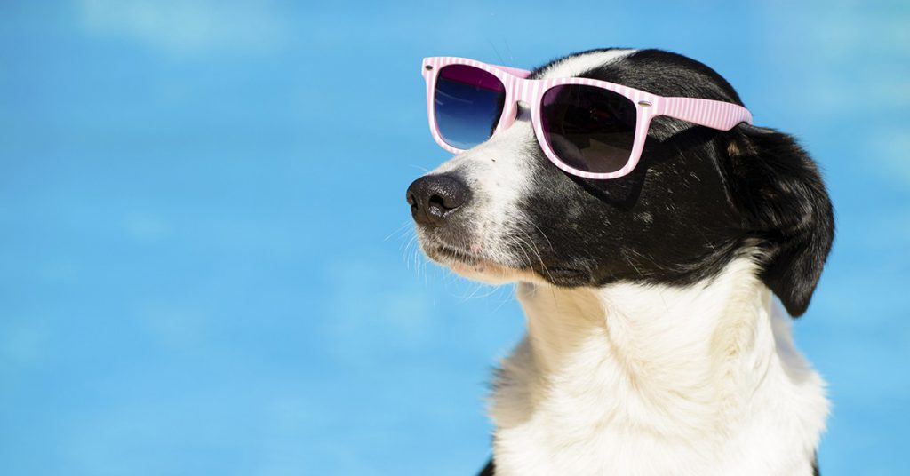Sigue leyendo ¿Sabes lo que es el sunbathing? Descúbrelo en estos lugares