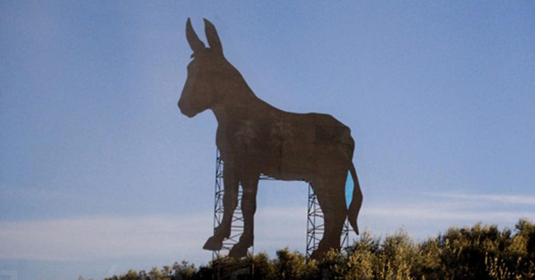 El burro de El Carpio (Flickr)