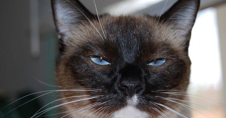 Seguirás odiando los lunes en la vuelta al trabajo (Flickr)