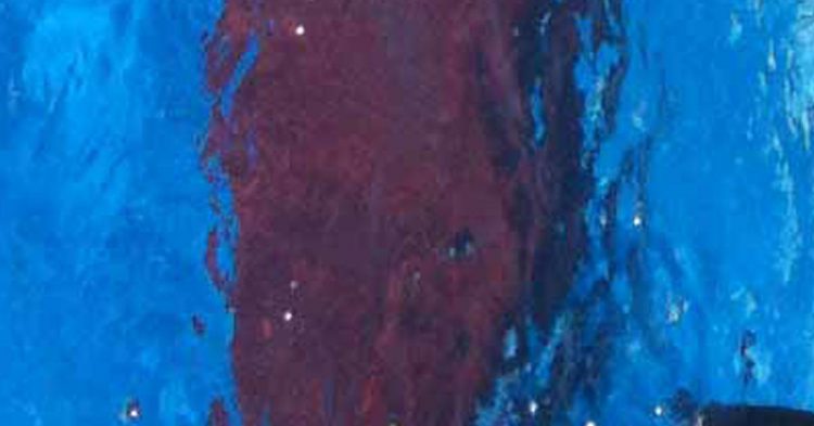 Los mitos de la piscina (Flickr)