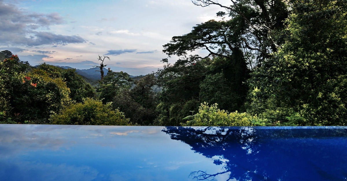Piscina infinita (Nyungwe Forest Lodge, Newmark Hotels)