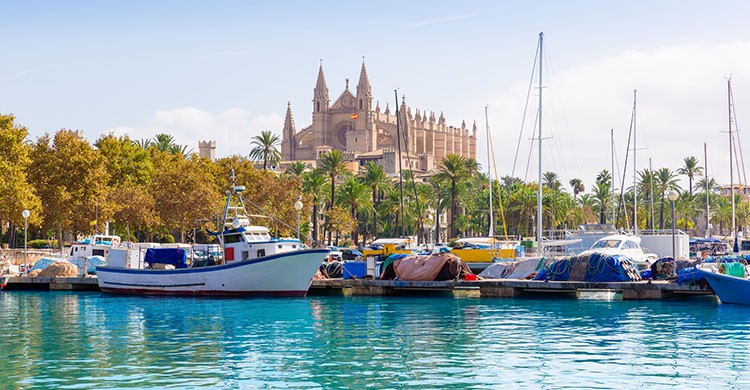 Palma de Mallorca (iStock)