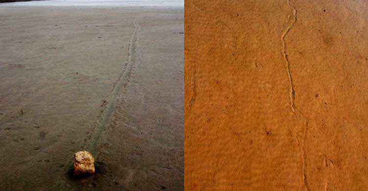 Piedras errantes en las lagunas de Lillo (agenciasinc.es)