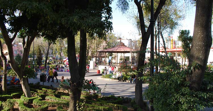 Jardín Hidalgo (iStock)