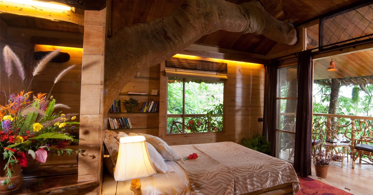 Casa del árbol (Tranquil Resort, Facebook)