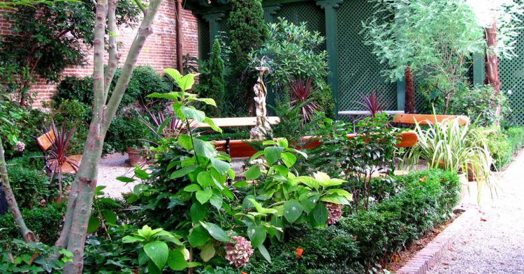 Una tarde llena de romanticismo (Flickr)