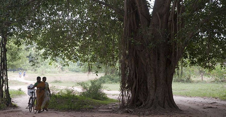 Auroville (Okramesh-Flickr)