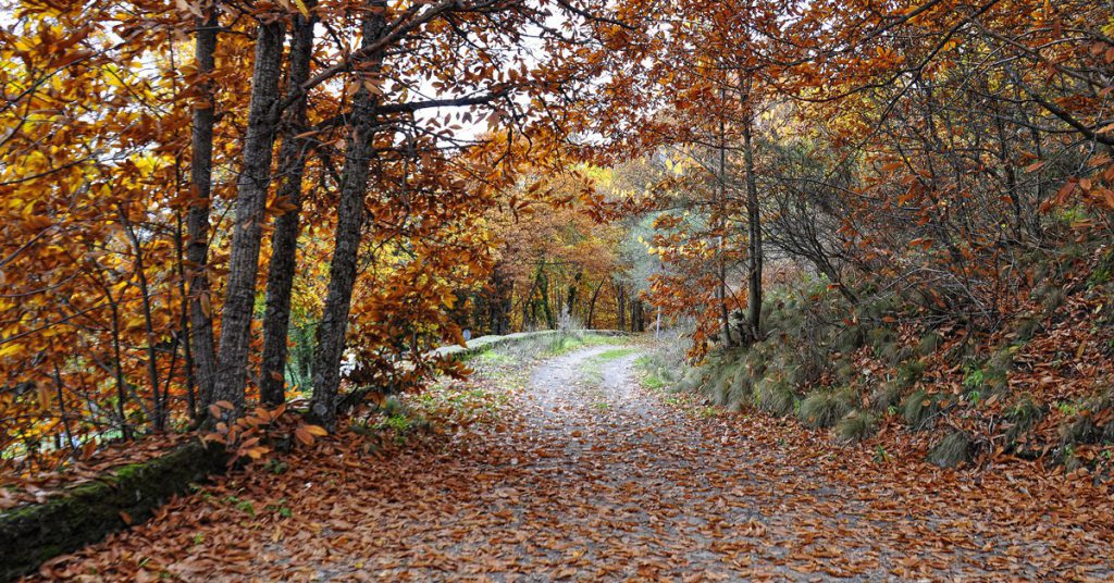 Sigue leyendo 5 escapadas perfectas para este otoño