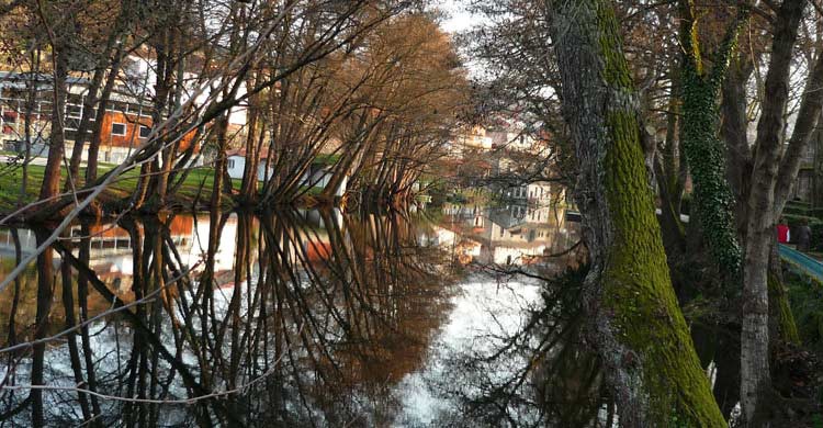 Río Arnoia (wikimedia.org)