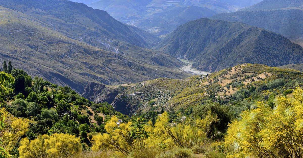 Cumbres Verdes (iStock)