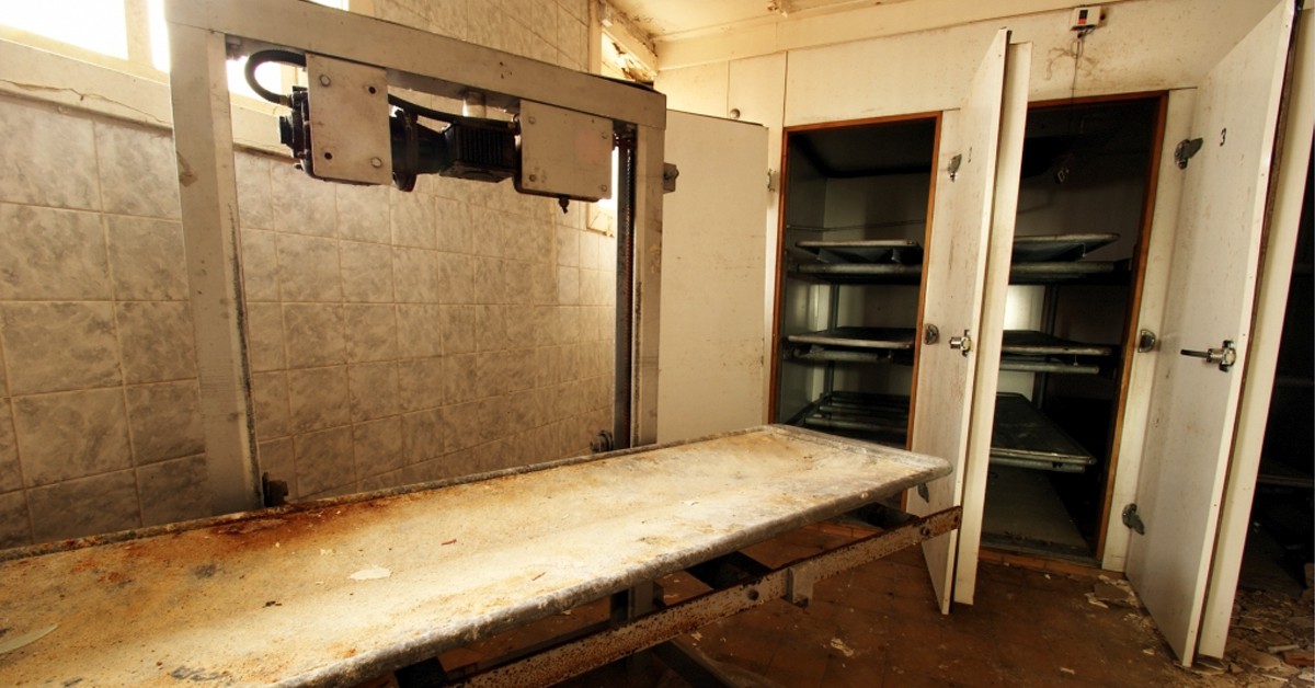 Hartwood (Skin – ubx, Foter)