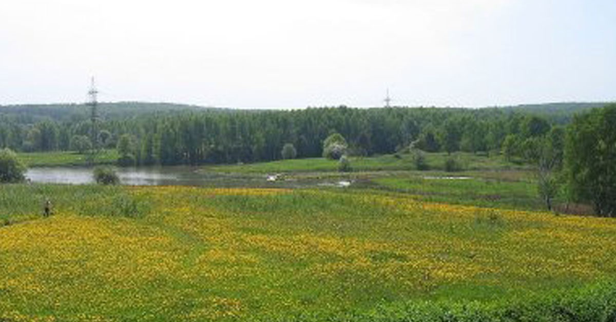 Moscú presume de Bitsevsky Park (Flickr)