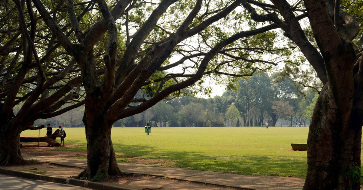 El famoso Chapultepec de México DF (Flickr)