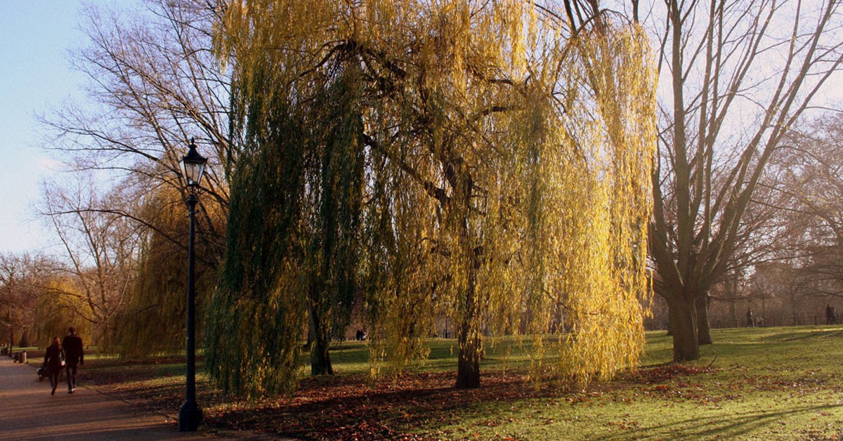 El Hyde Park londinense (Flickr)