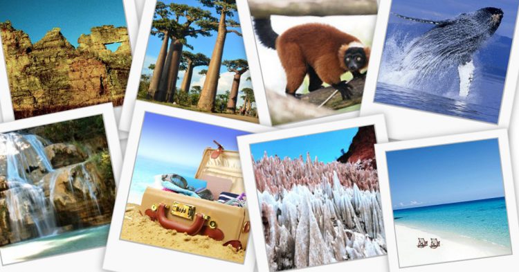 Sigue leyendo Si usted tiene que aterrizar en una isla, ¿por qué no Madagascar?